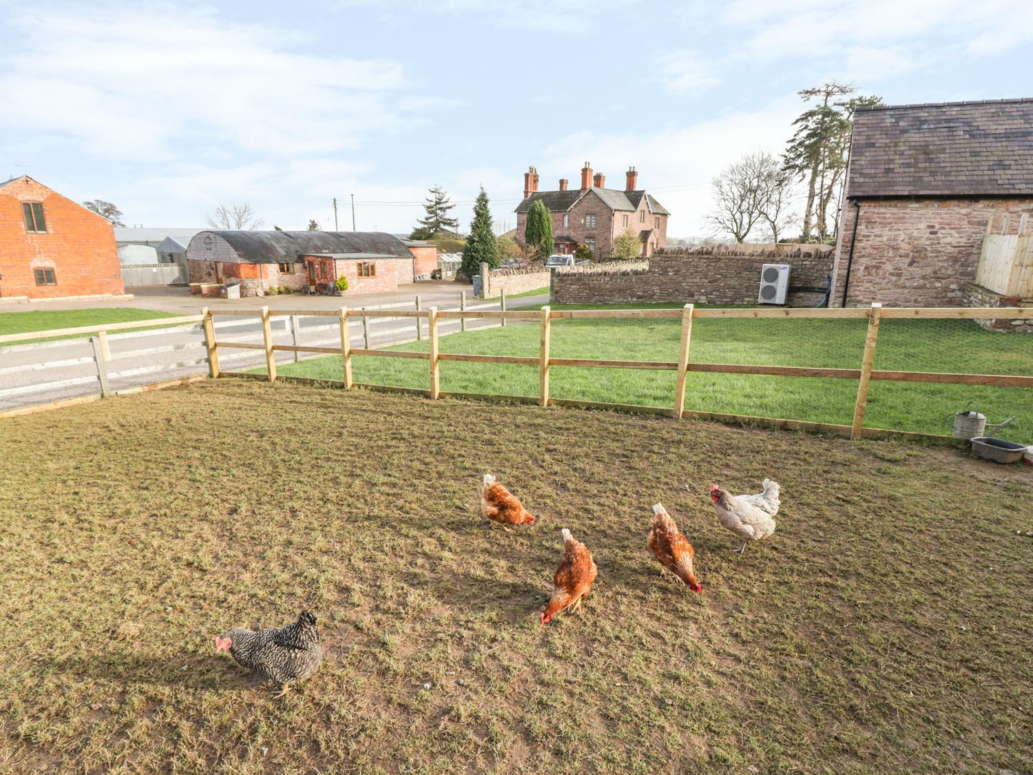 Villa The Old Sheep Shed Alberbury Exterior foto